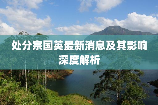 處分宗國(guó)英最新消息及其影響深度解析