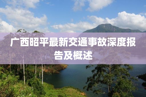 廣西昭平最新交通事故深度報告及概述