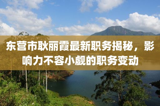 東營市耿麗霞最新職務(wù)揭秘，影響力不容小覷的職務(wù)變動