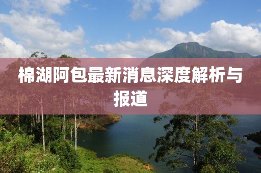 棉湖阿包最新消息深度解析與報(bào)道