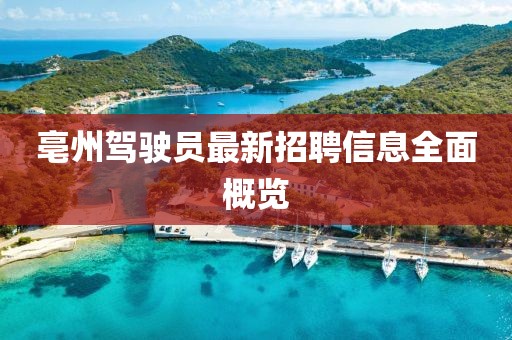 亳州駕駛員最新招聘信息全面概覽