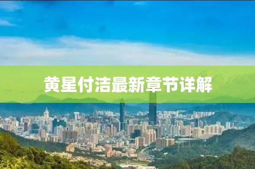 黃星付潔最新章節(jié)詳解