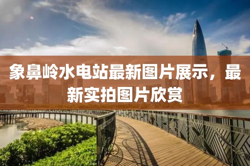 象鼻嶺水電站最新圖片展示，最新實拍圖片欣賞