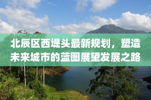 北辰區(qū)西堤頭最新規(guī)劃，塑造未來城市的藍圖展望發(fā)展之路