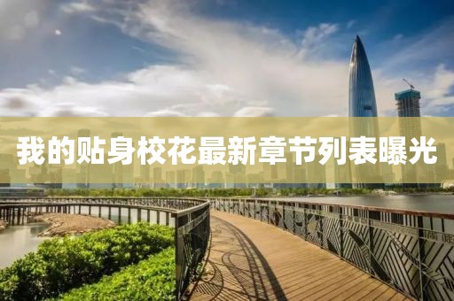 我的貼身?；ㄗ钚抡鹿?jié)列表曝光