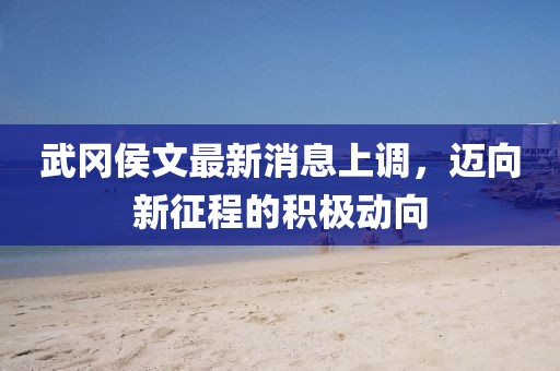 武岡侯文最新消息上調(diào)，邁向新征程的積極動向