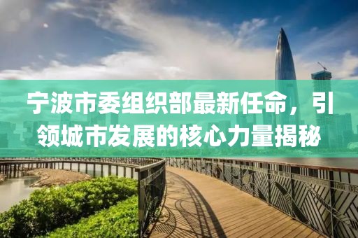 寧波市委組織部最新任命，引領(lǐng)城市發(fā)展的核心力量揭秘
