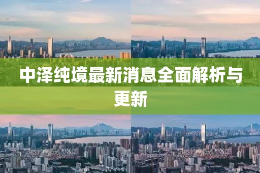中澤純境最新消息全面解析與更新