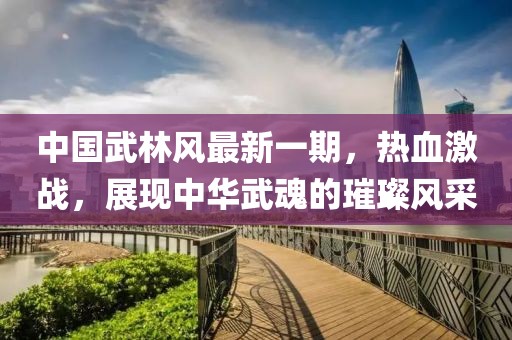 中國(guó)武林風(fēng)最新一期，熱血激戰(zhàn)，展現(xiàn)中華武魂的璀璨風(fēng)采
