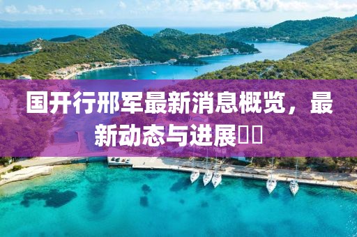 國開行邢軍最新消息概覽，最新動態(tài)與進展??