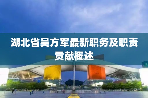 湖北省吳方軍最新職務(wù)及職責(zé)貢獻概述