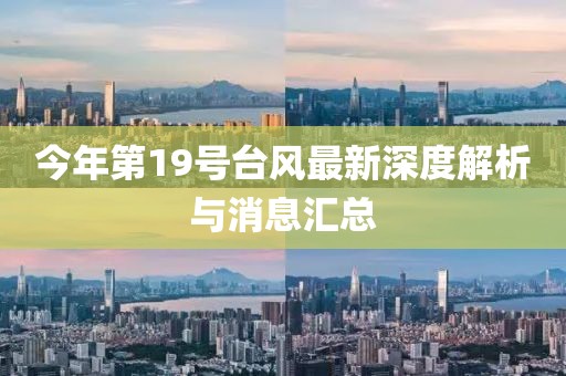 今年第19號臺風最新深度解析與消息匯總