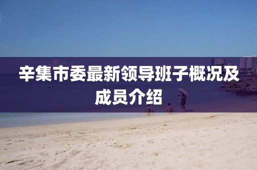 辛集市委最新領(lǐng)導(dǎo)班子概況及成員介紹