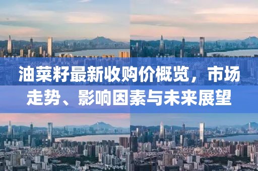油菜籽最新收購(gòu)價(jià)概覽，市場(chǎng)走勢(shì)、影響因素與未來(lái)展望