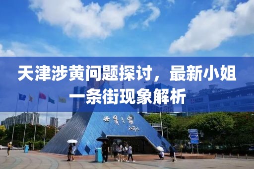 天津涉黃問(wèn)題探討，最新小姐一條街現(xiàn)象解析