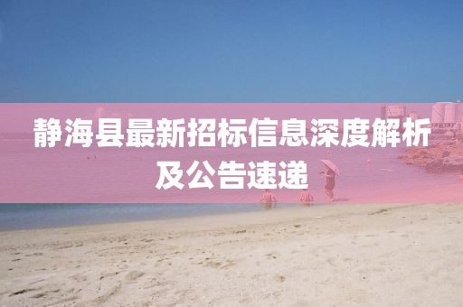 靜海縣最新招標(biāo)信息深度解析及公告速遞