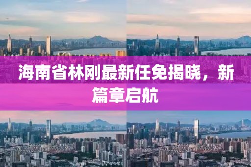 海南省林剛最新任免揭曉，新篇章啟航