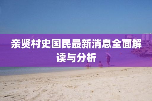 親賢村史國民最新消息全面解讀與分析