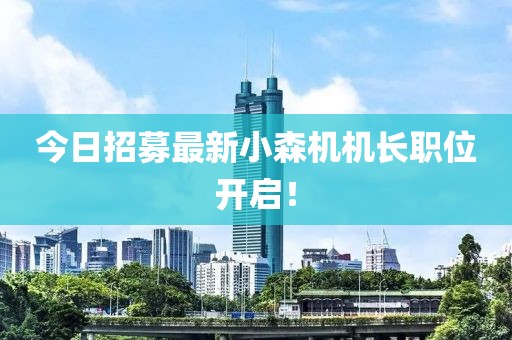 今日招募最新小森機(jī)機(jī)長職位開啟！