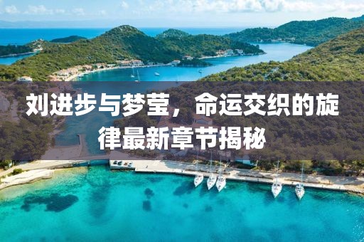劉進(jìn)步與夢(mèng)瑩，命運(yùn)交織的旋律最新章節(jié)揭秘