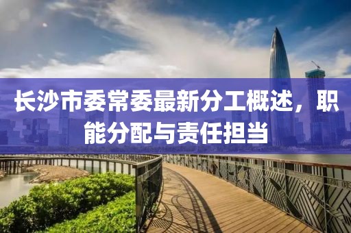 長沙市委常委最新分工概述，職能分配與責(zé)任擔(dān)當(dāng)