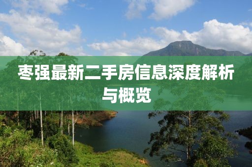 棗強最新二手房信息深度解析與概覽