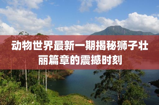 動物世界最新一期揭秘獅子壯麗篇章的震撼時(shí)刻