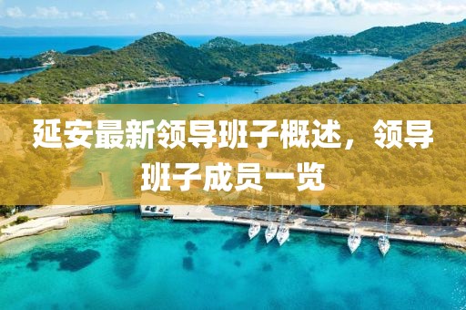 延安最新領(lǐng)導班子概述，領(lǐng)導班子成員一覽