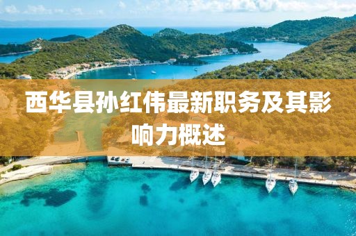 西華縣孫紅偉最新職務(wù)及其影響力概述