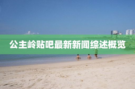 公主嶺貼吧最新新聞綜述概覽