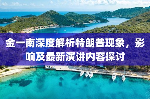 金一南深度解析特朗普現(xiàn)象，影響及最新演講內(nèi)容探討
