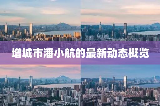 增城市潘小航的最新動態(tài)概覽