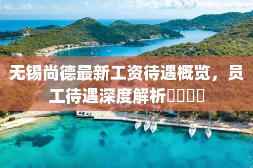 無錫尚德最新工資待遇概覽，員工待遇深度解析????