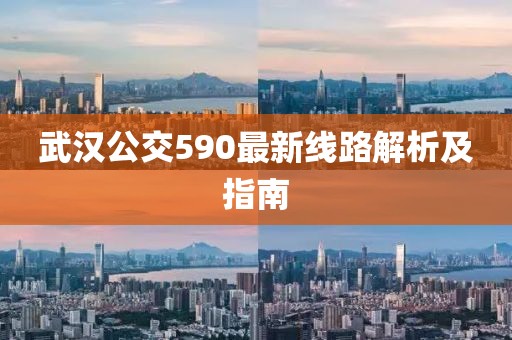 武漢公交590最新線路解析及指南