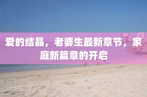愛(ài)的結(jié)晶，老婆生最新章節(jié)，家庭新篇章的開(kāi)啟