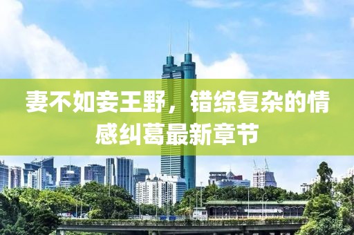 妻不如妾王野，錯(cuò)綜復(fù)雜的情感糾葛最新章節(jié)