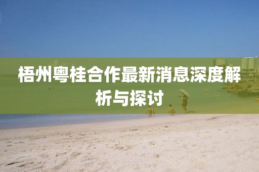 梧州粵桂合作最新消息深度解析與探討