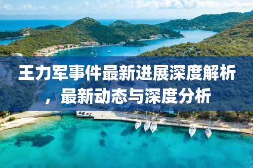 王力軍事件最新進(jìn)展深度解析，最新動(dòng)態(tài)與深度分析