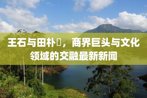 王石與田樸琤，商界巨頭與文化領(lǐng)域的交融最新新聞