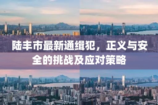 陸豐市最新通緝犯，正義與安全的挑戰(zhàn)及應(yīng)對(duì)策略