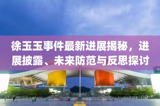 徐玉玉事件最新進展揭秘，進展披露、未來防范與反思探討