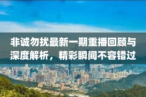非誠(chéng)勿擾最新一期重播回顧與深度解析，精彩瞬間不容錯(cuò)過