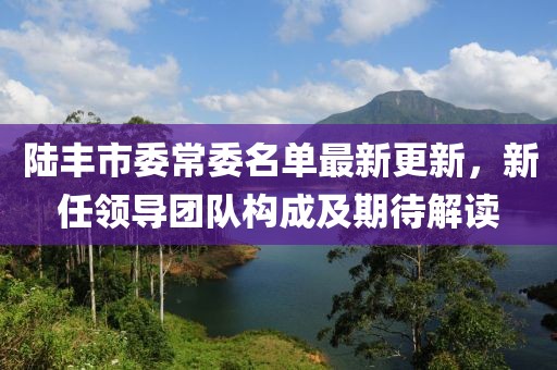 陸豐市委常委名單最新更新，新任領(lǐng)導(dǎo)團(tuán)隊構(gòu)成及期待解讀
