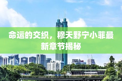 命運的交織，穆天野寧小菲最新章節(jié)揭秘