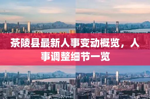 茶陵縣最新人事變動概覽，人事調(diào)整細節(jié)一覽