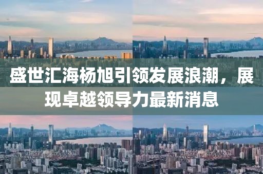 盛世匯海楊旭引領發(fā)展浪潮，展現(xiàn)卓越領導力最新消息
