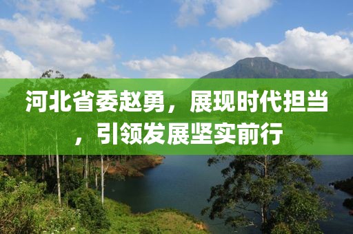 河北省委趙勇，展現(xiàn)時(shí)代擔(dān)當(dāng)，引領(lǐng)發(fā)展堅(jiān)實(shí)前行