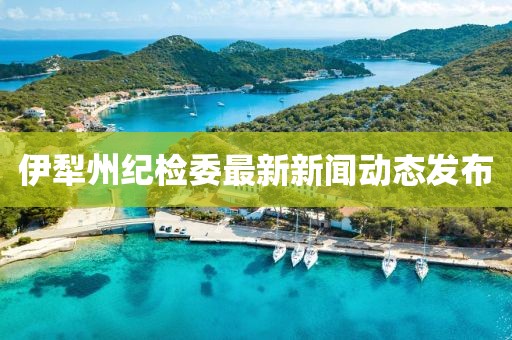 伊犁州紀檢委最新新聞動態(tài)發(fā)布