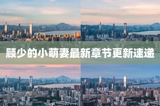 顧少的小萌妻最新章節(jié)更新速遞