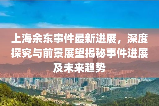 上海余東事件最新進展，深度探究與前景展望揭秘事件進展及未來趨勢